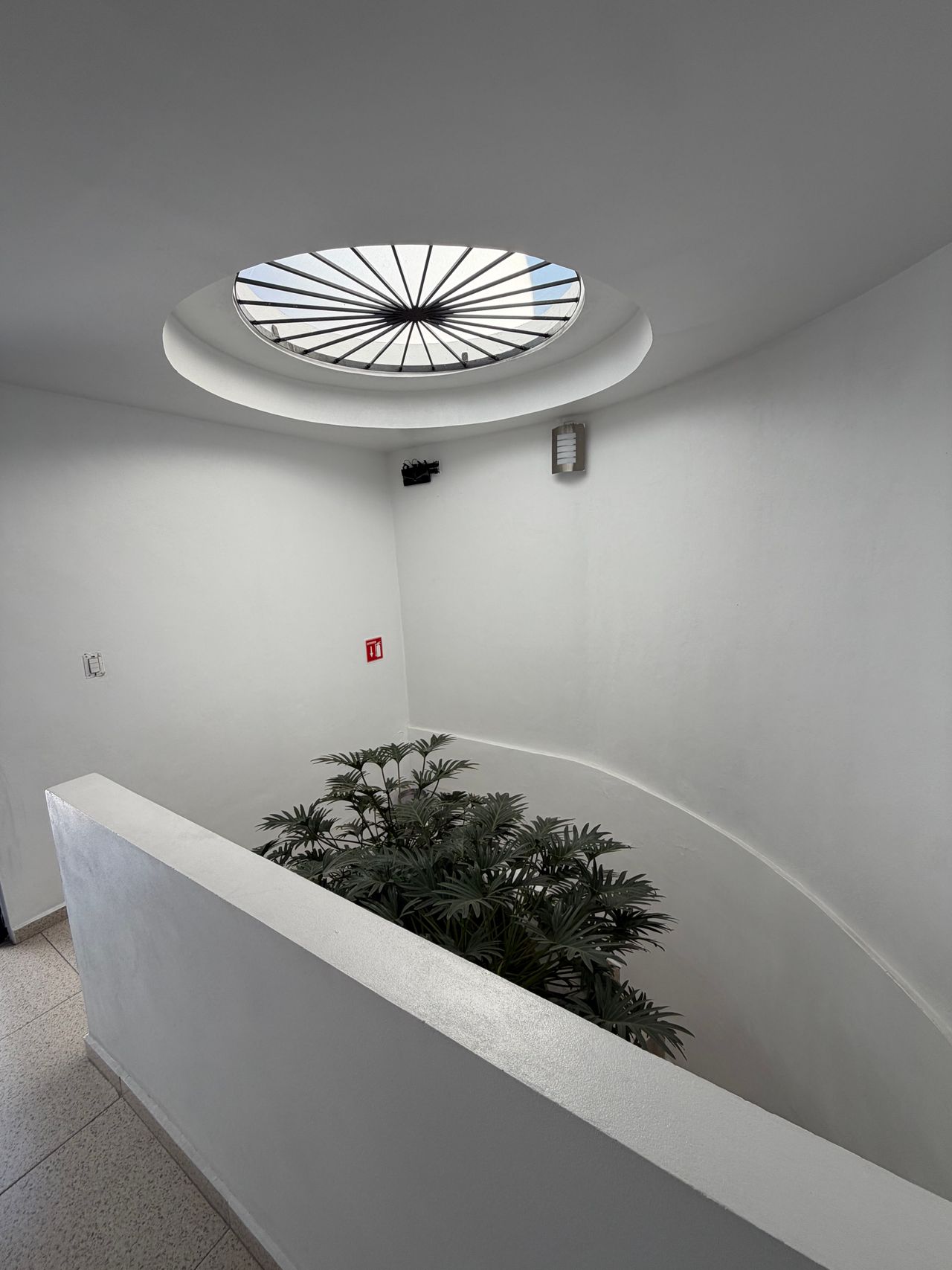 Gabriela Maya Duarte-3