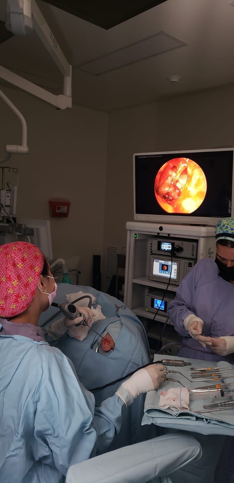 Anabel Sandoval De La Fuente-6