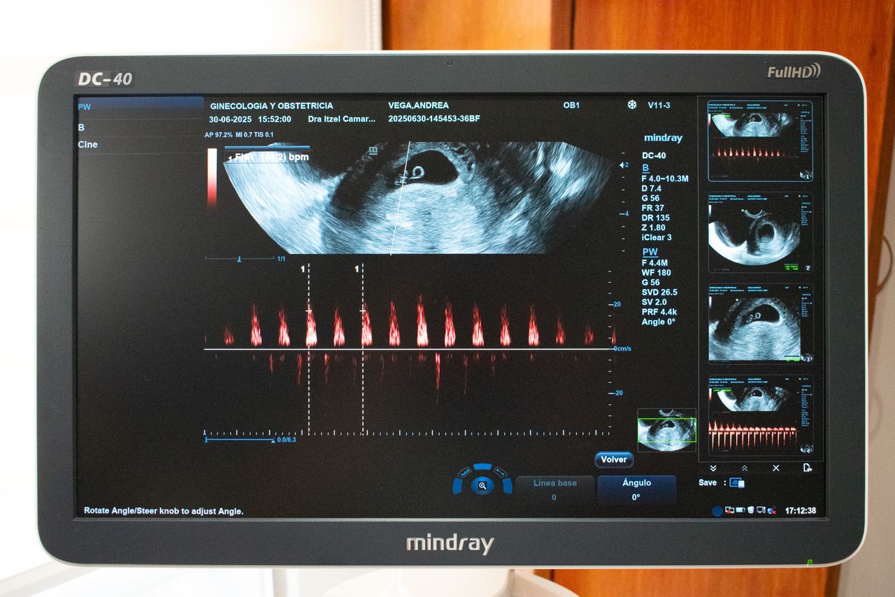 Beatriz Itzel Camarillo Sánchez-10