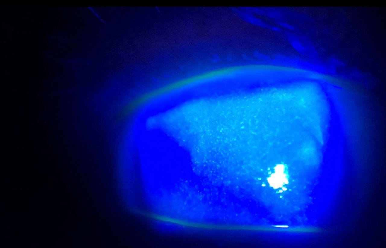 Brenda Sánchez Laguna-11