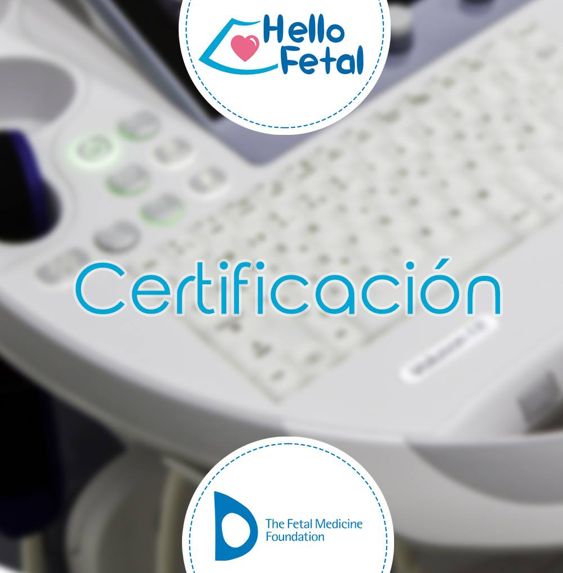 Hector David Fernandez Herrera-6