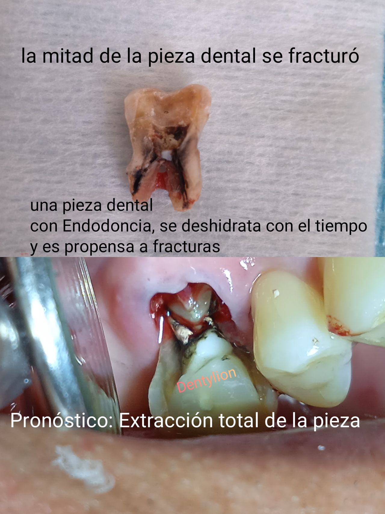 Jessica De La Barrera Valladolid-20