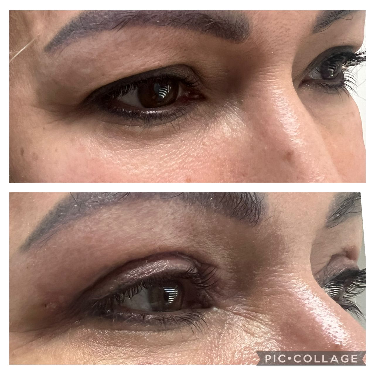 Guillermo Jiménez Labora Irineo-9