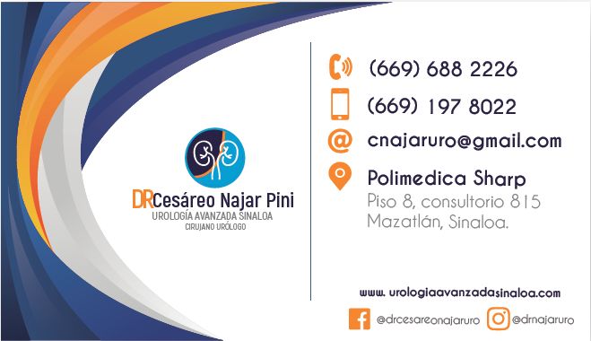 Cesáreo Najar Pini-3