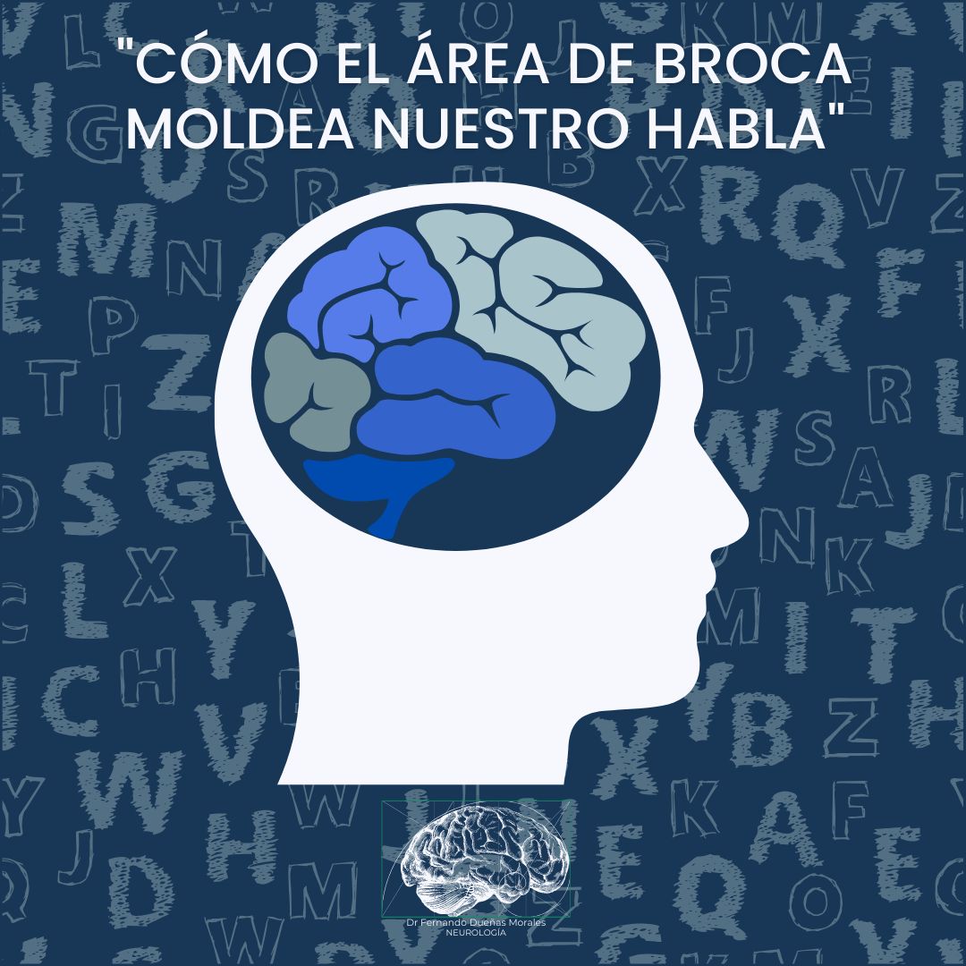 Fernando Dueñas Morales-4