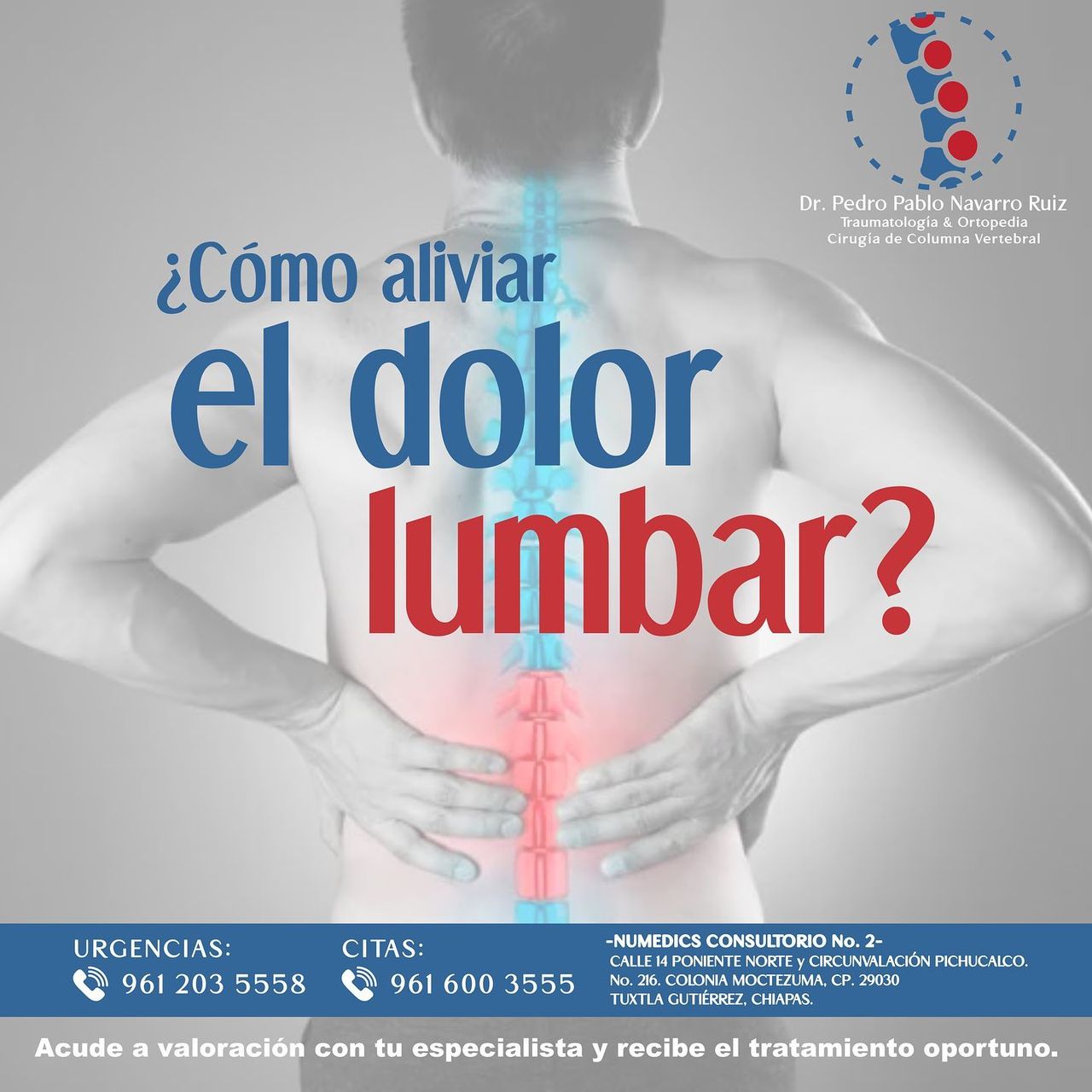 Pedro Pablo Navarro Ruiz-14