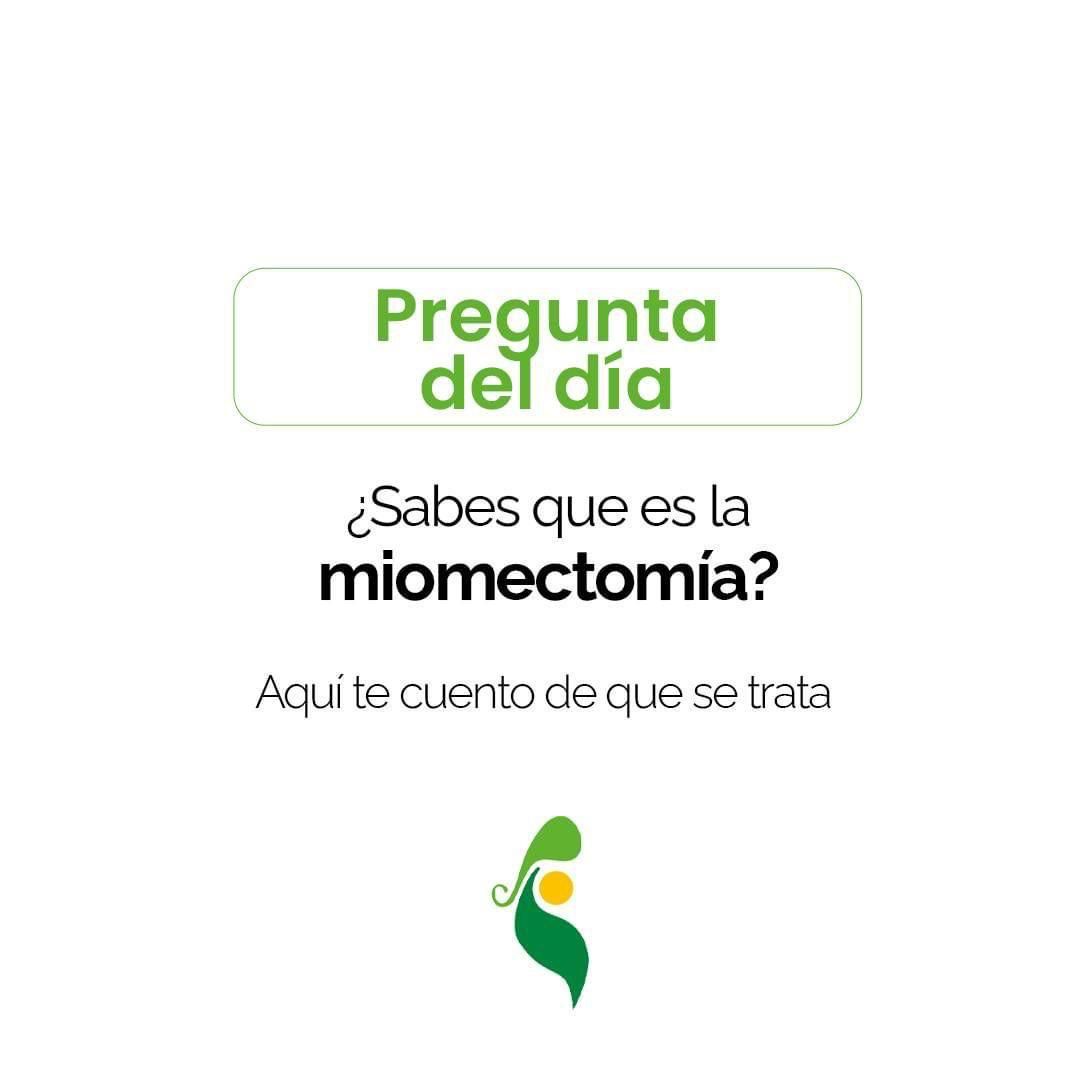 Gonzalo Hernández Martínez-73