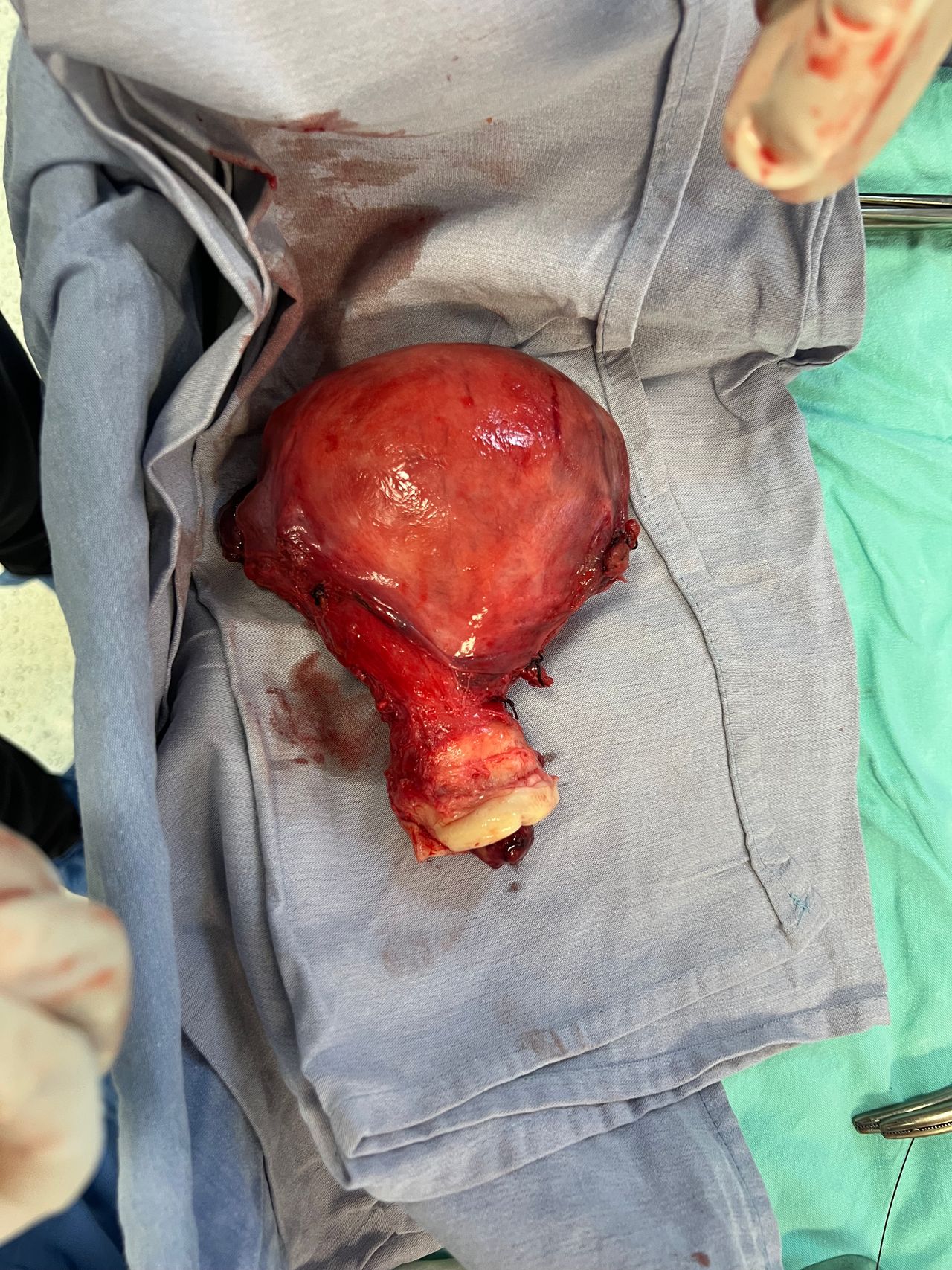 Luisa Paulina Noriega Jiménez-3