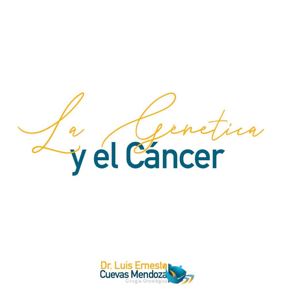 Luis Ernesto Cuevas Mendoza-225