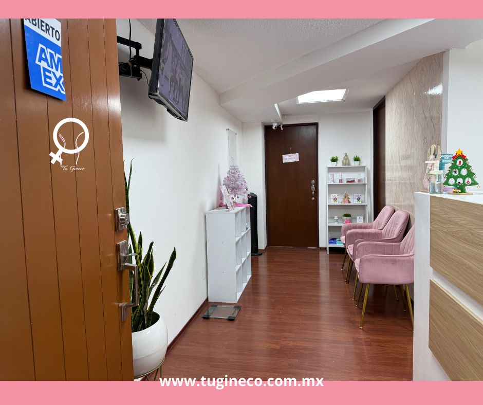 Laura Patricia Hernández Manriquez-2