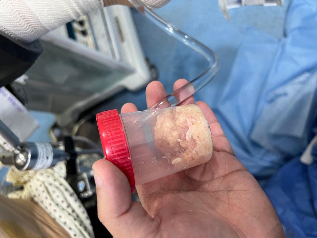 Vicente Enrique De Jesús Cano Pérez-1