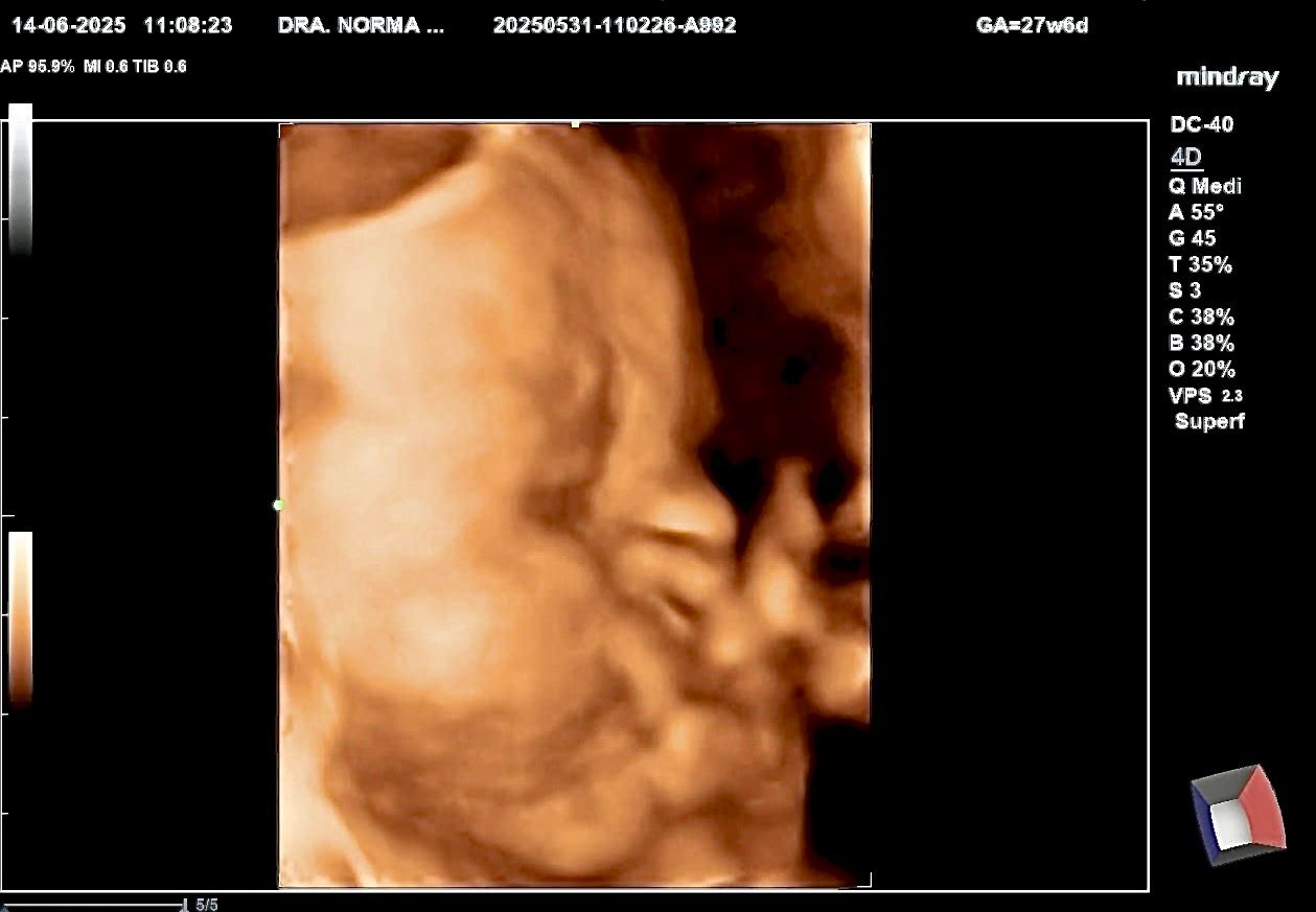 Norma Alicia Fernández Sifuentes-2