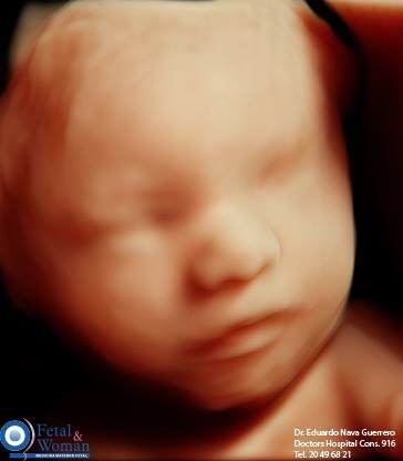 Eduardo Noé Nava Guerrero-6