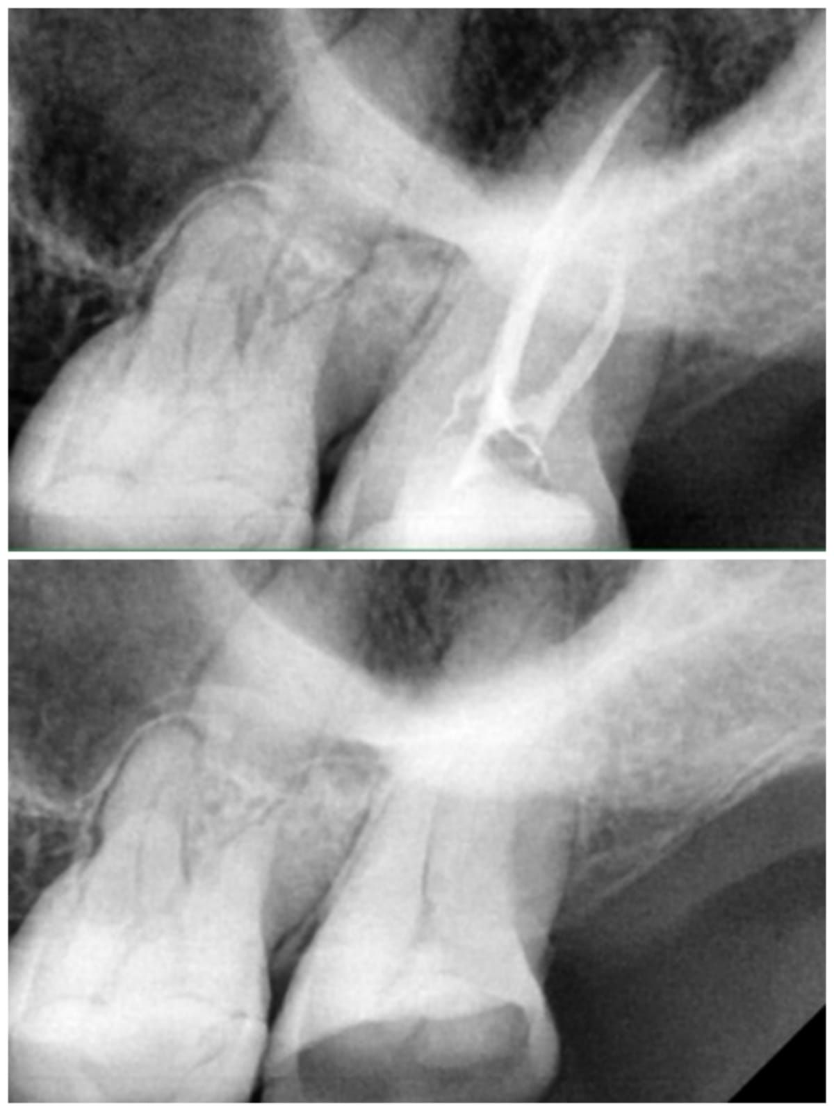 Zury Sarai Moreno Soto-37