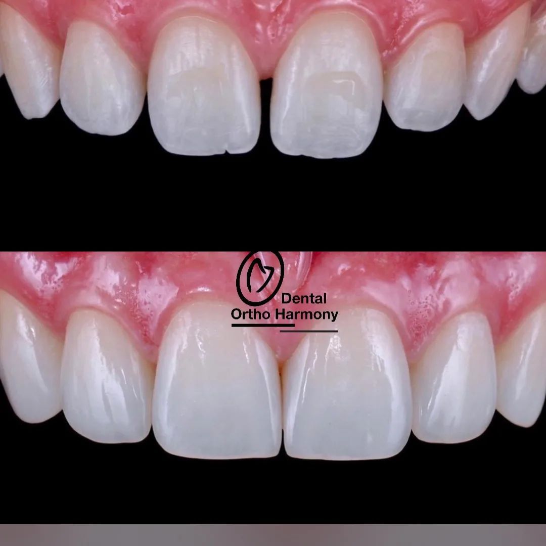 Leticia Montemayor Estrada-21