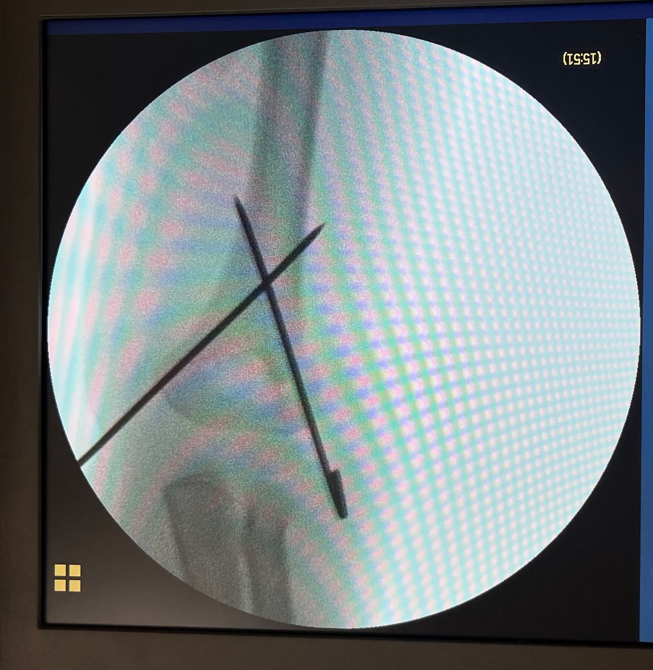 Mayra Alejandra Garcia Delgadillo-6