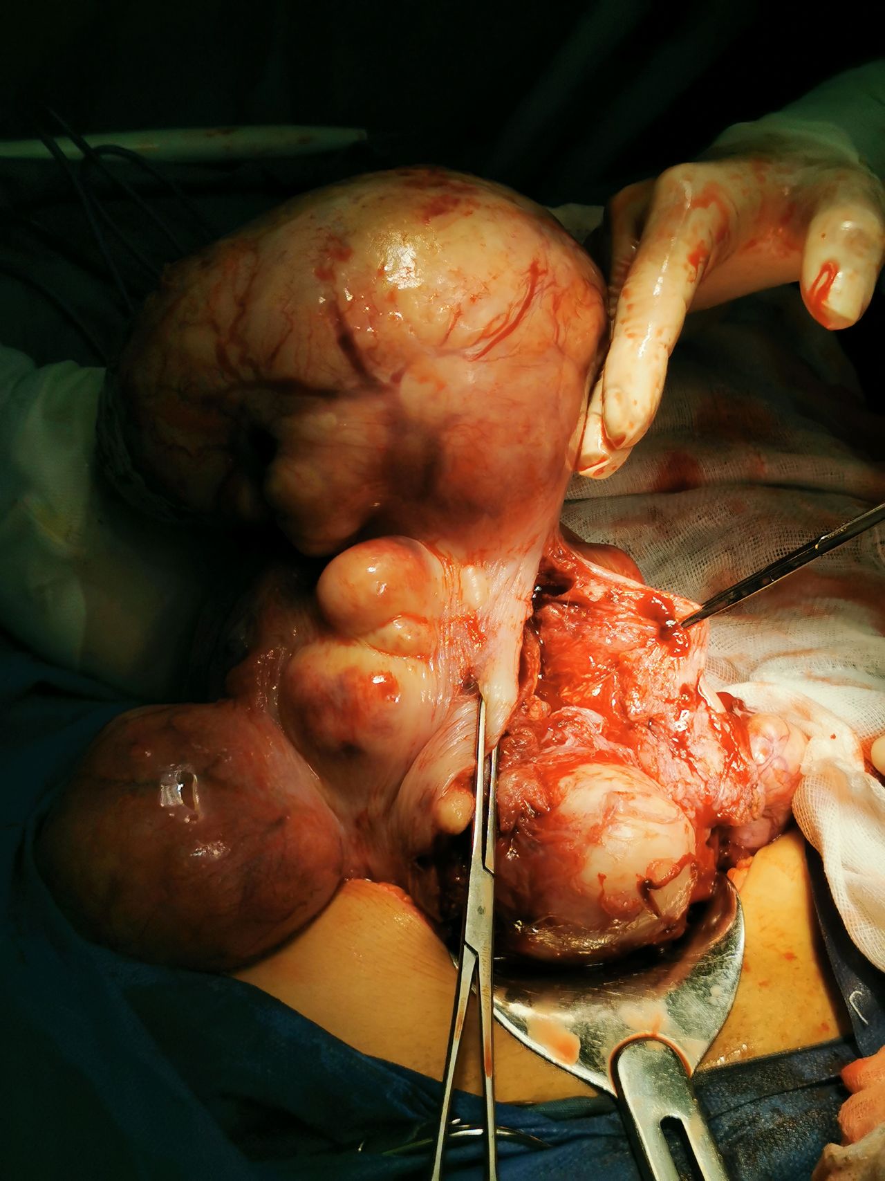 Marisol I. Alvarez Carrasco-12