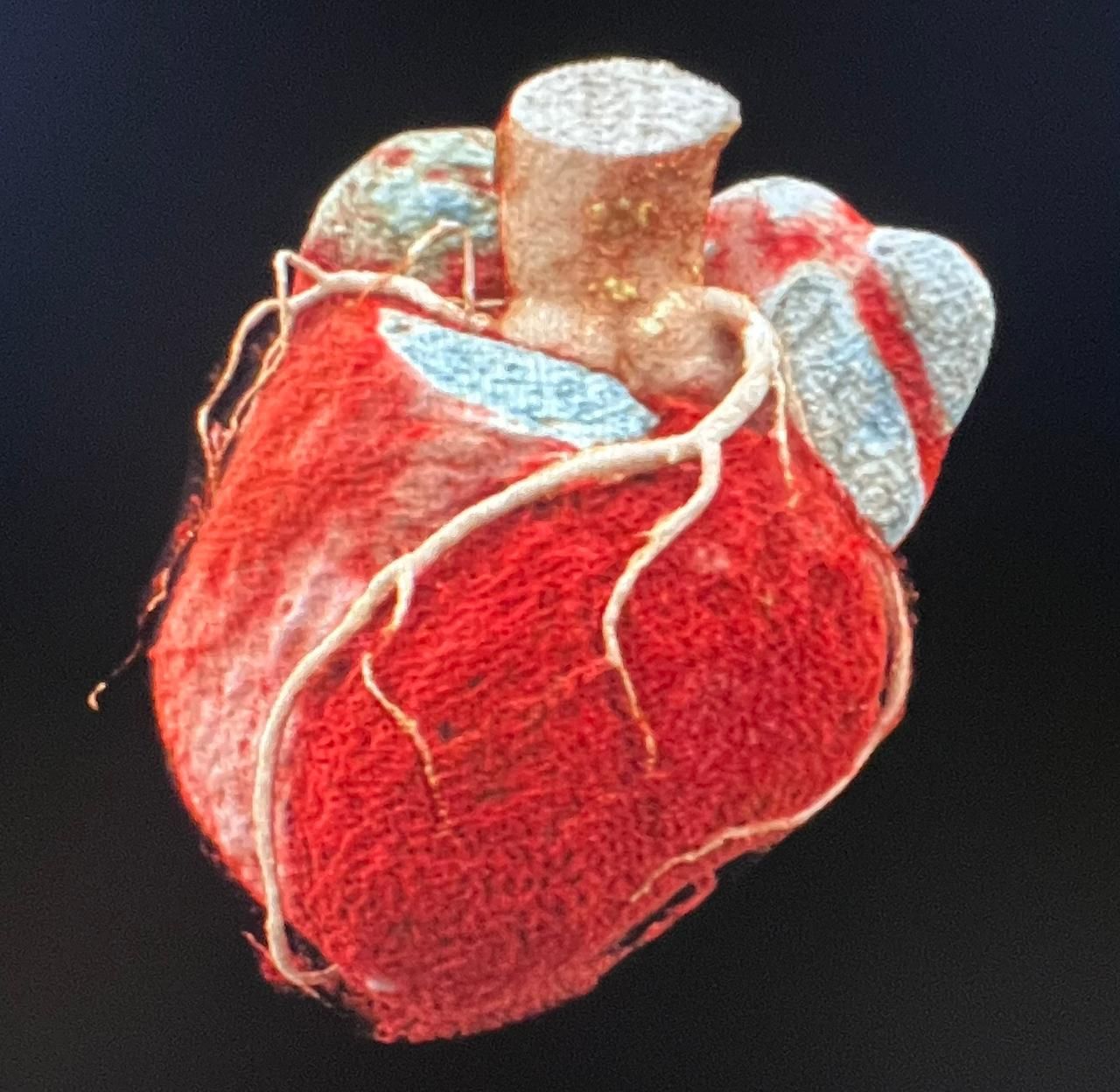 Rafael Vera Urquiza-2