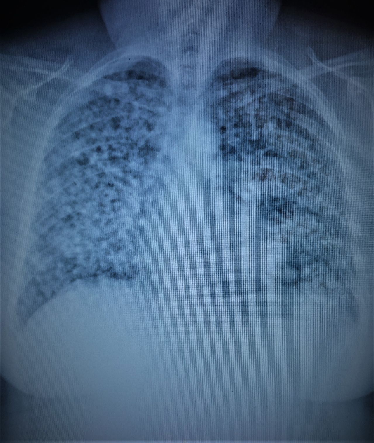 Edgar Felipe Castro Arellano-4