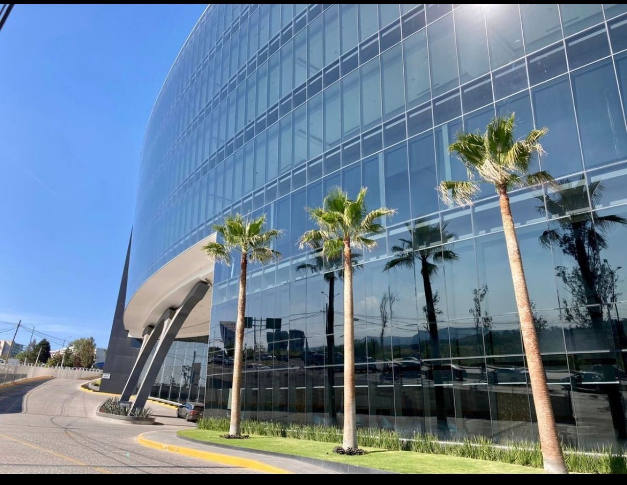 Amschell Robinsson-14