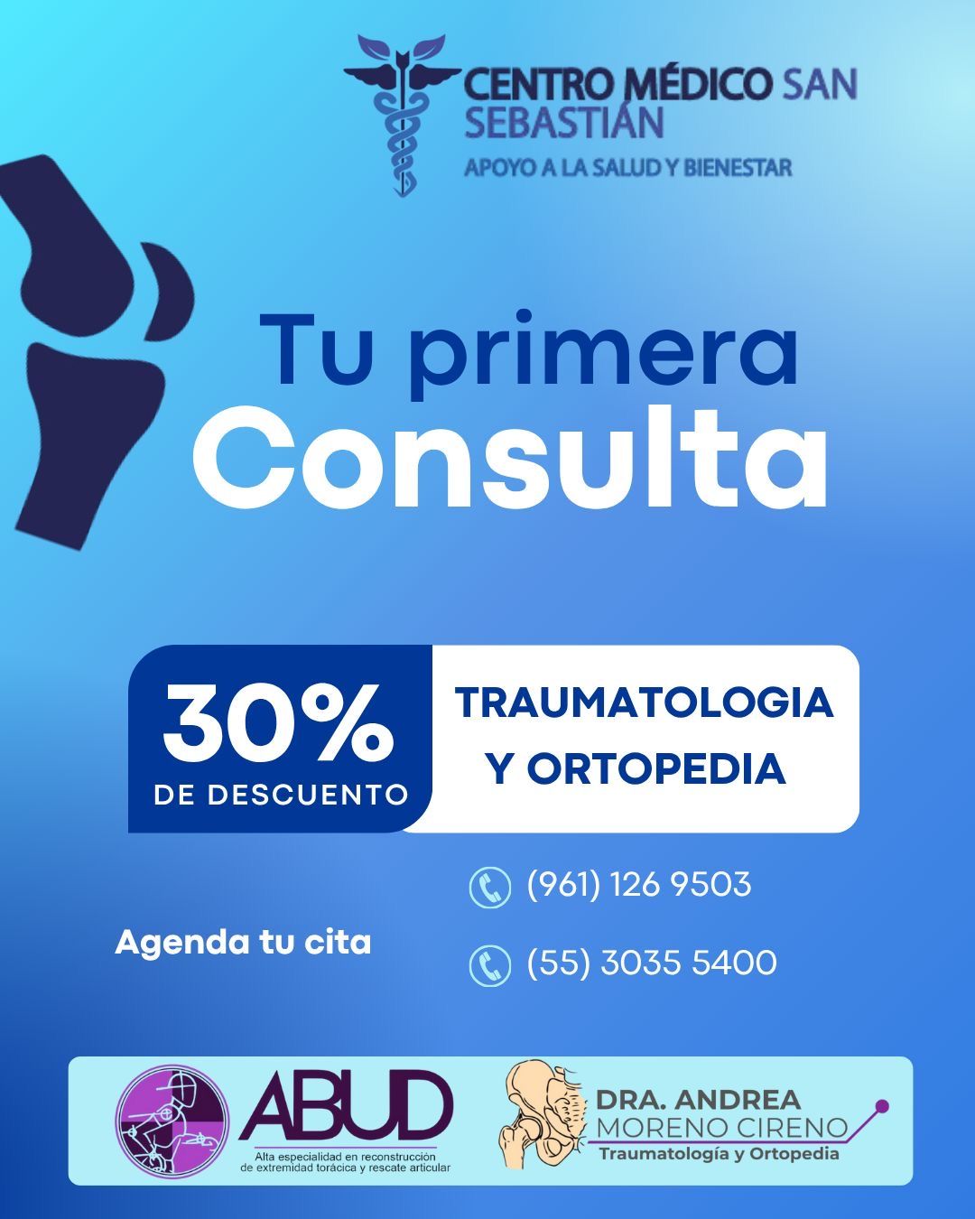 Alejandra Jiménez Abud-3
