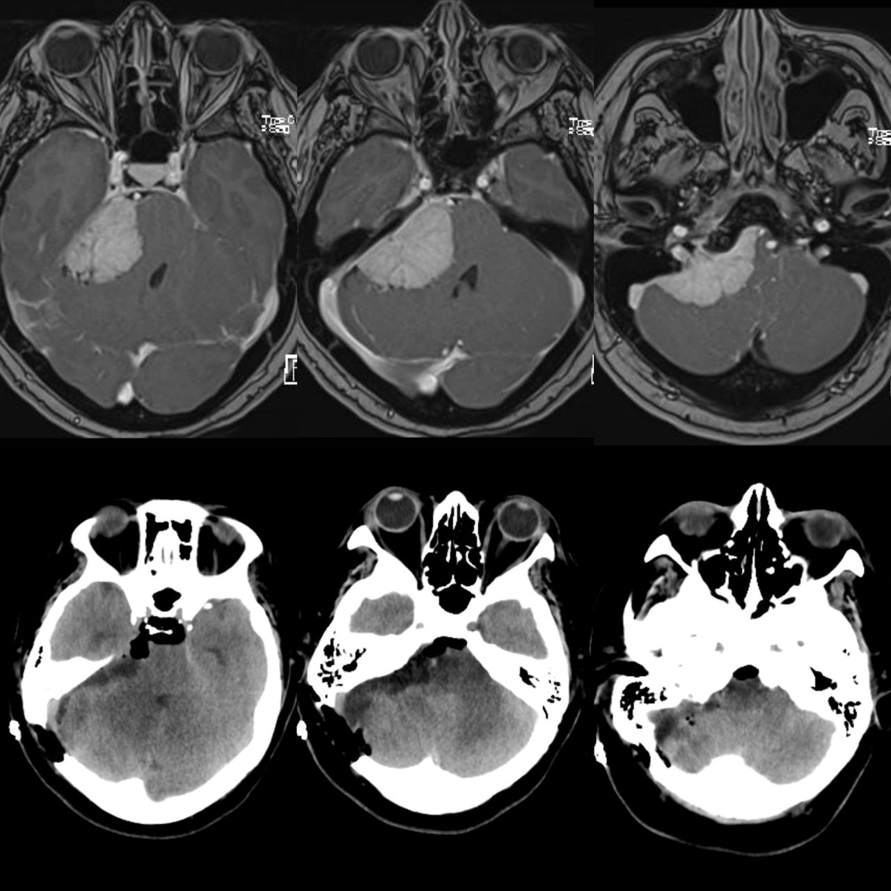 Celia Teresa De Jesús Álvarez Gamiño-23