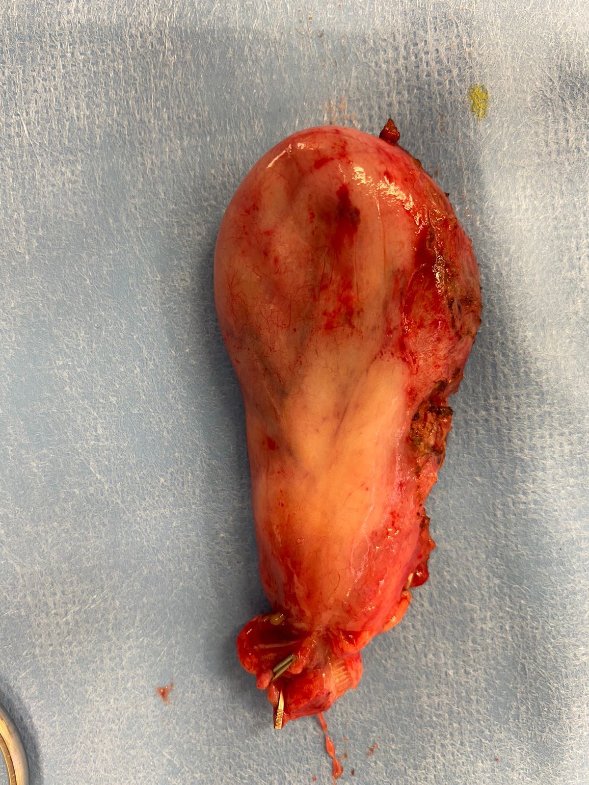 Mariann Barajas Grijalva-20