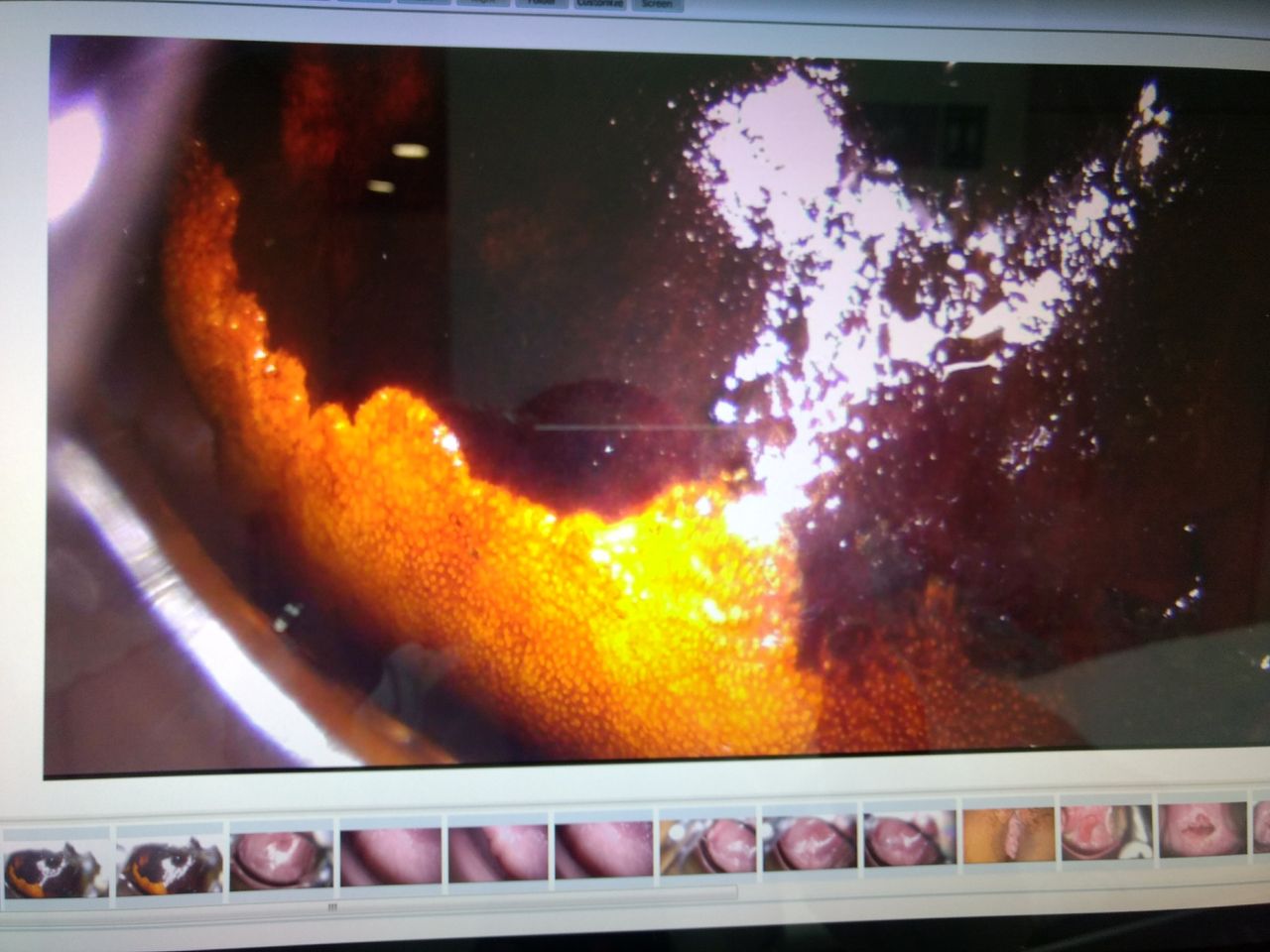 Auria Viridiana Avendaño Perez-2