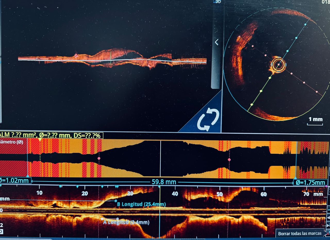 Juan Carlos Mandujano Magdaleno-9