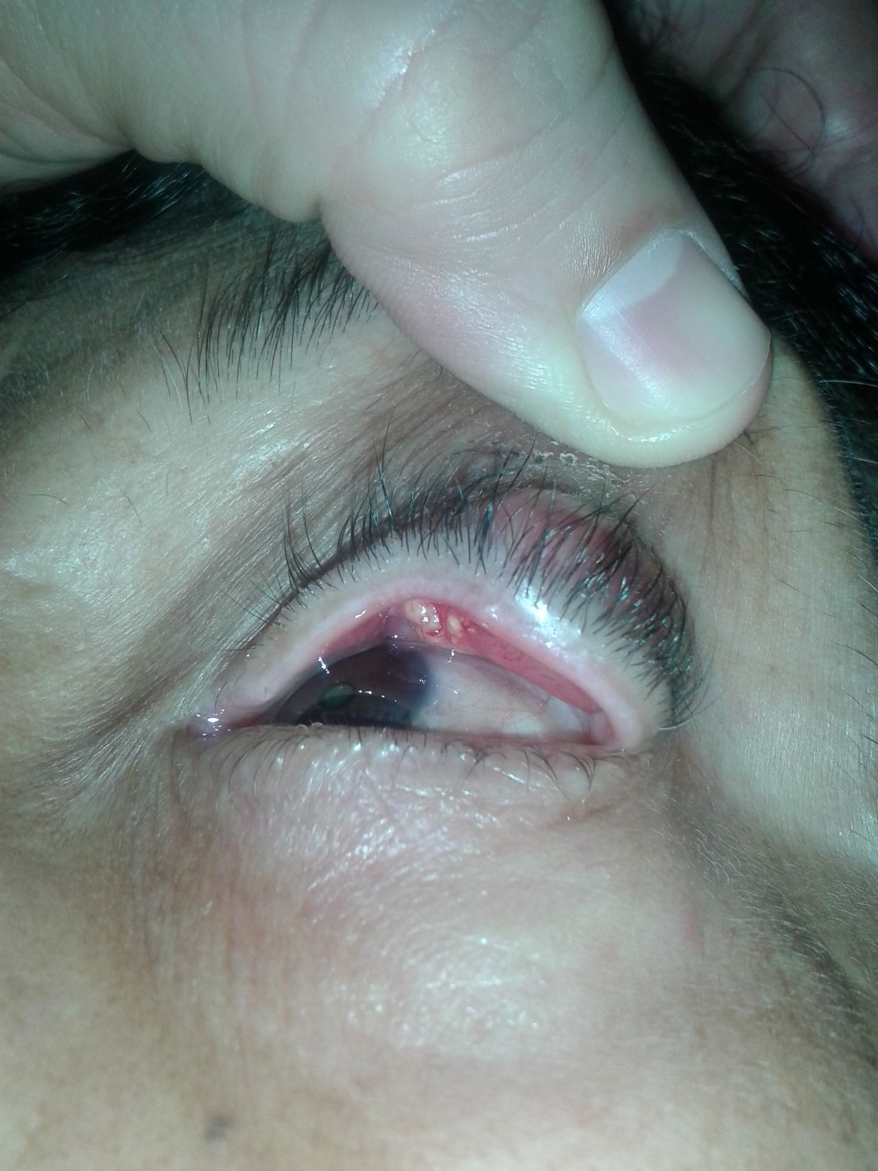 Karell Rodriguez Naranjo-4