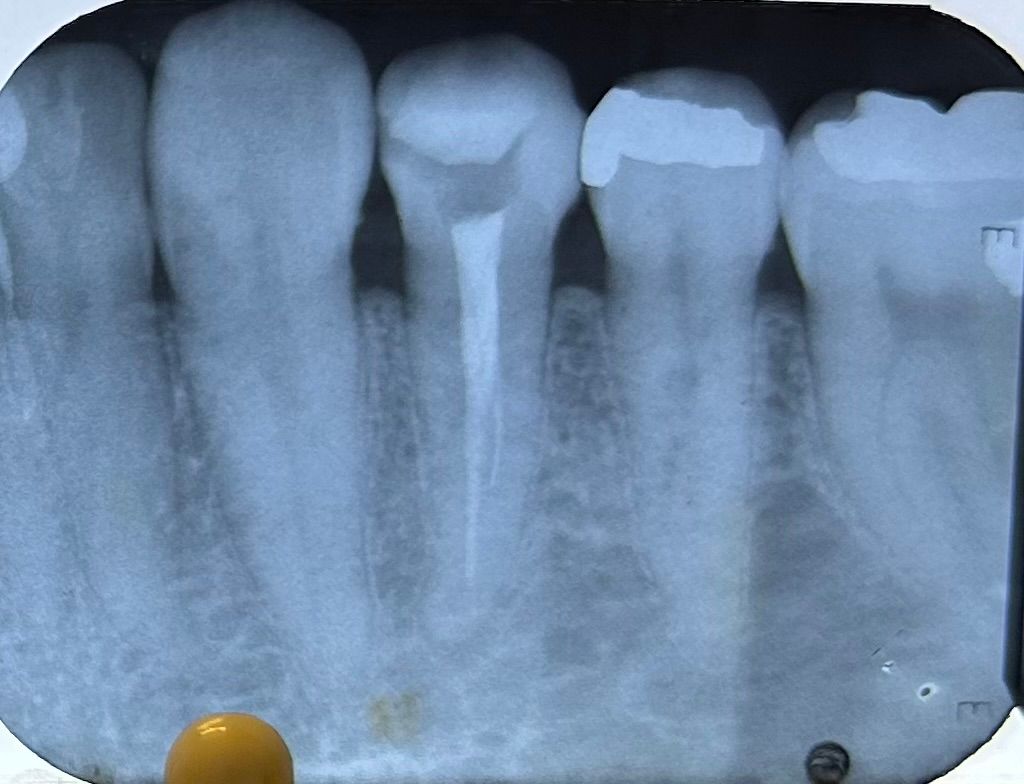 Fernanda Pérez Murrieta-6