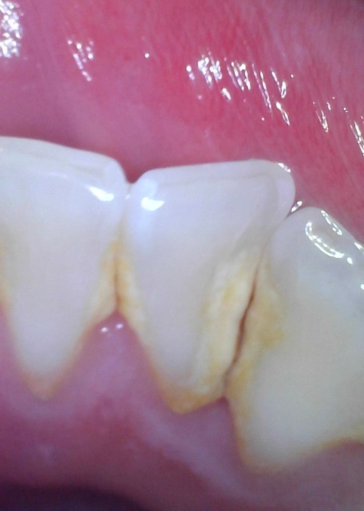 Francisco Jose Vives Serrano-13