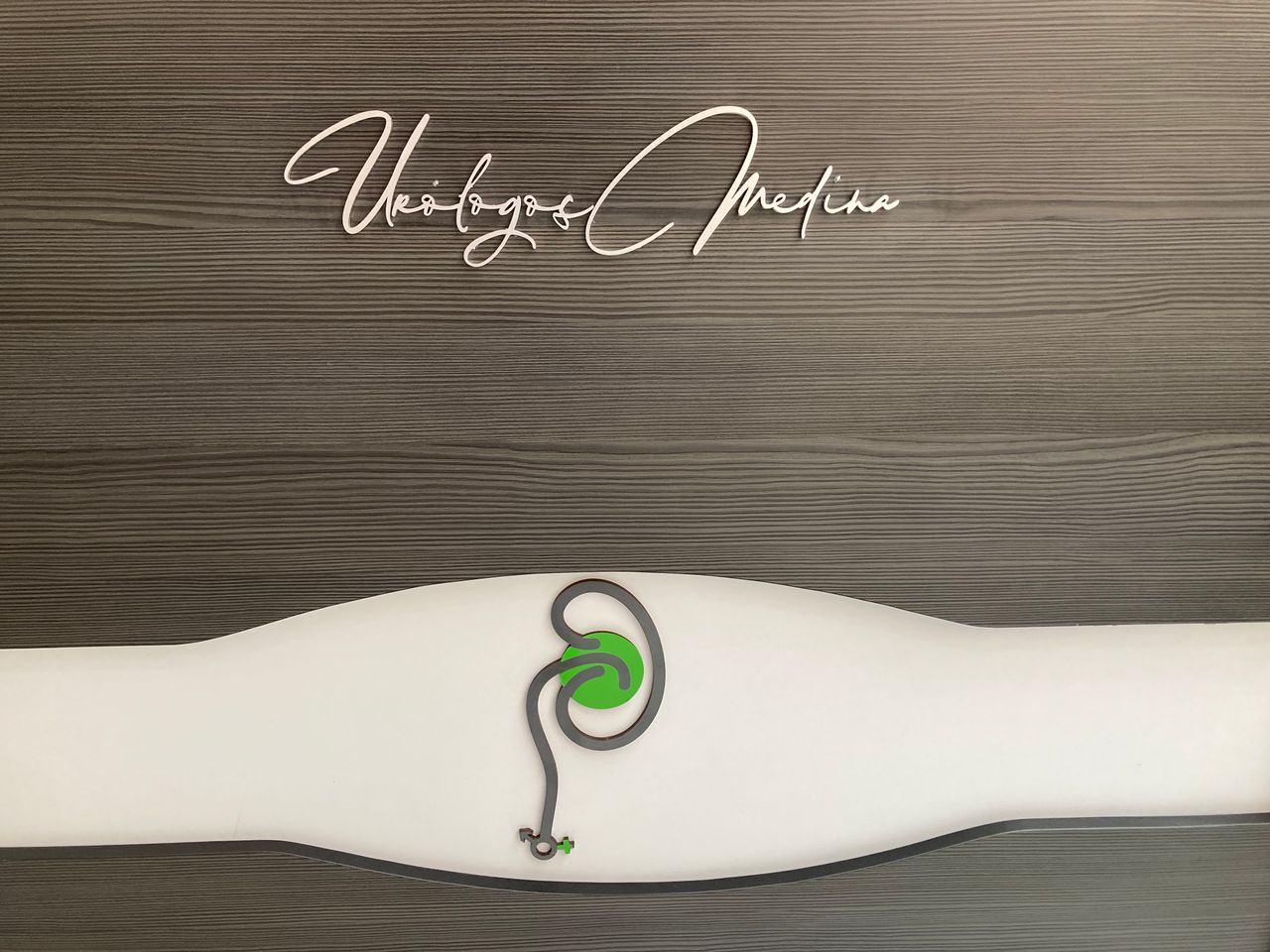 Luis Gerardo Medina Bucio-9