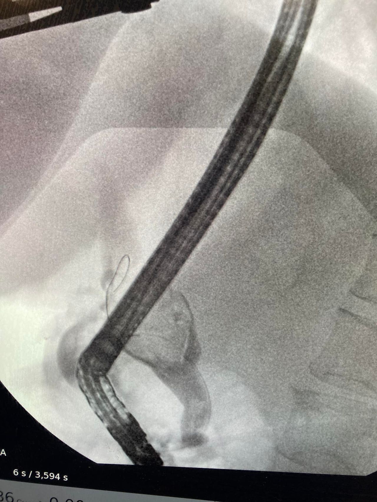 J. César Reyes Vásquez-7