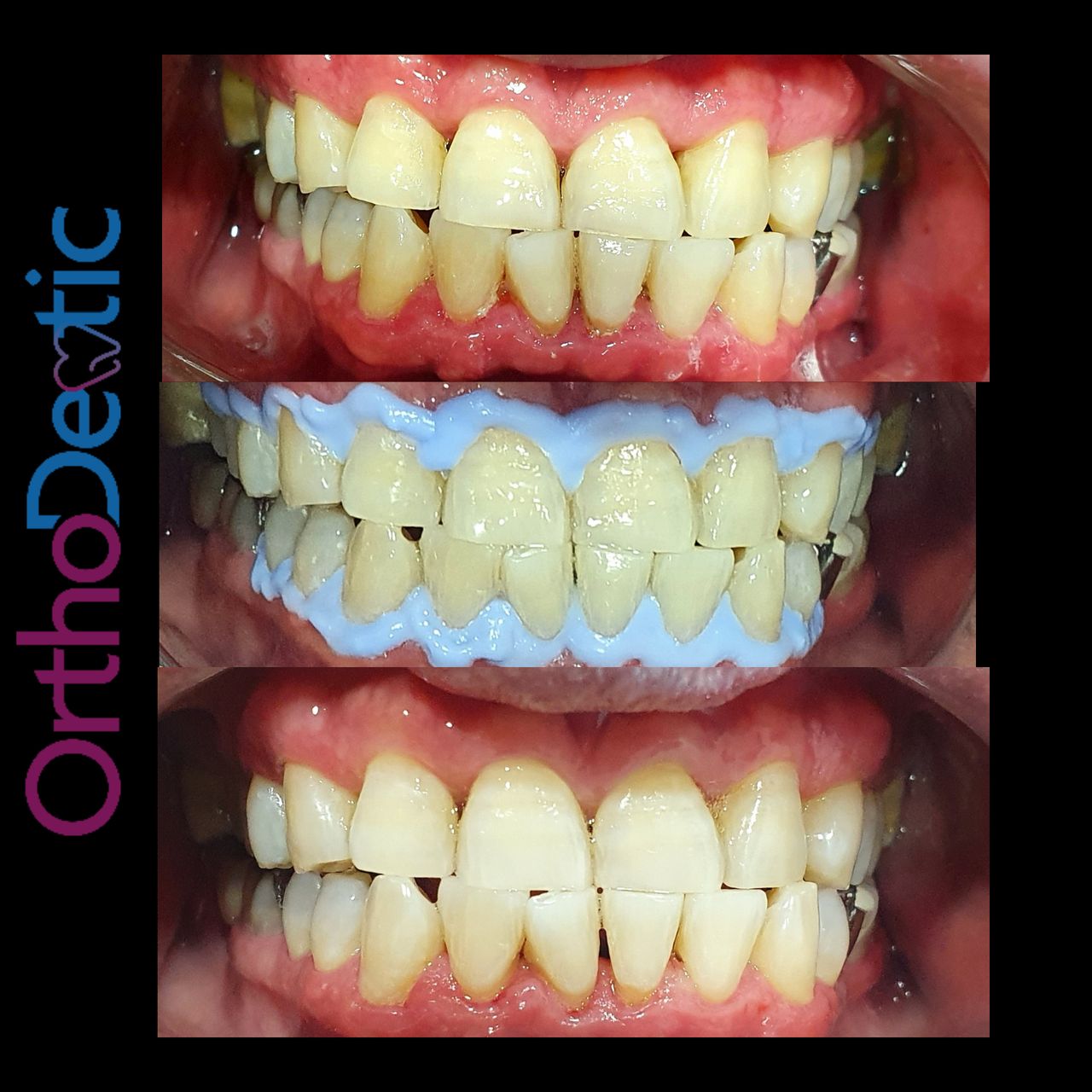 Mónica Bridgette Guerrero Martínez-120