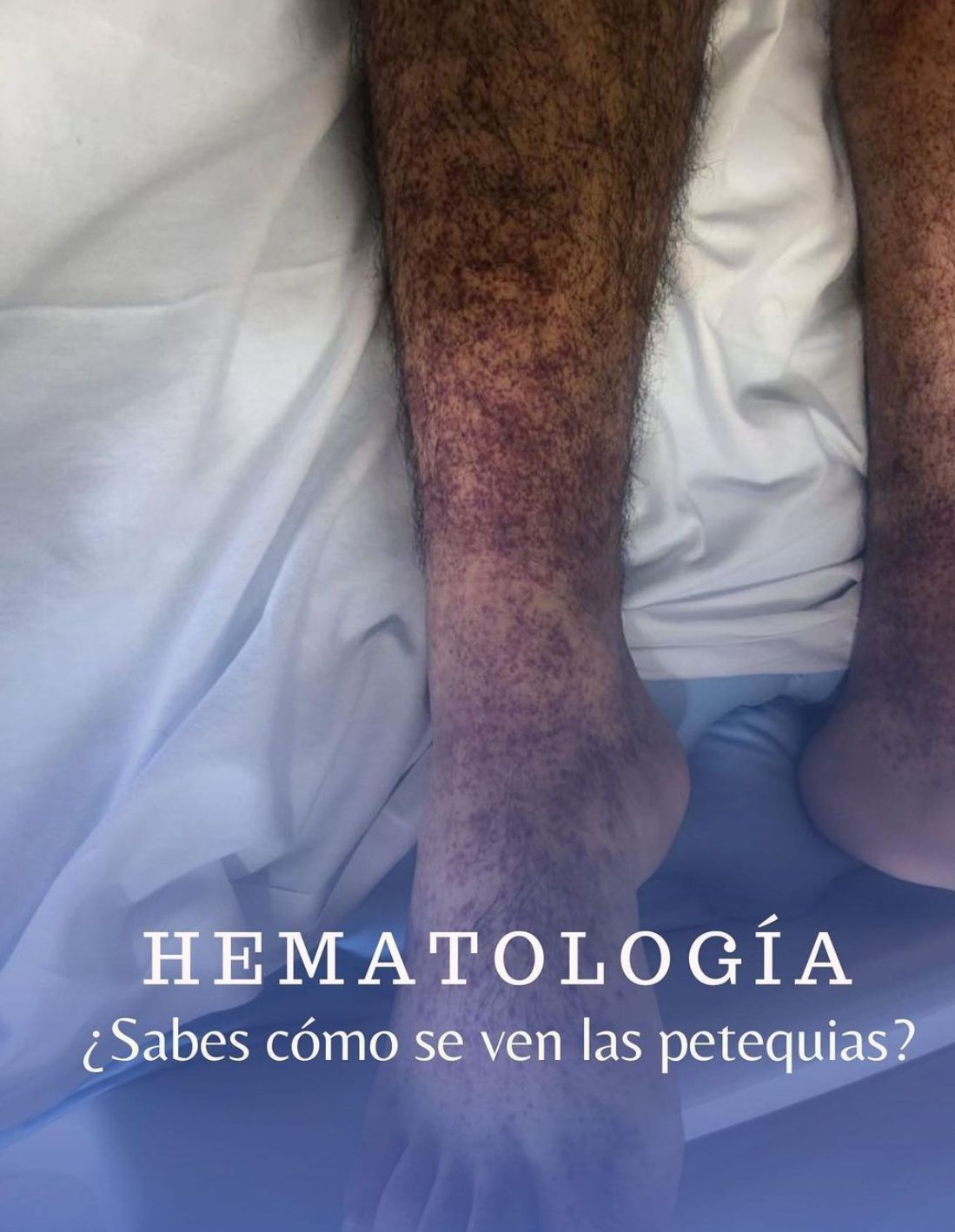 Karen Y. Flores Ordoñez-13