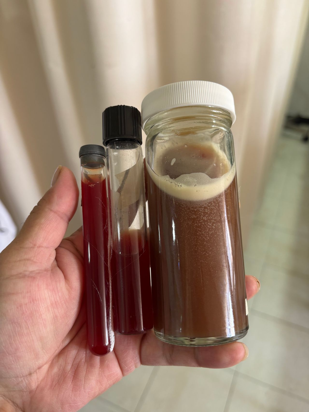 Guadalupe Vázquez Tapia-6