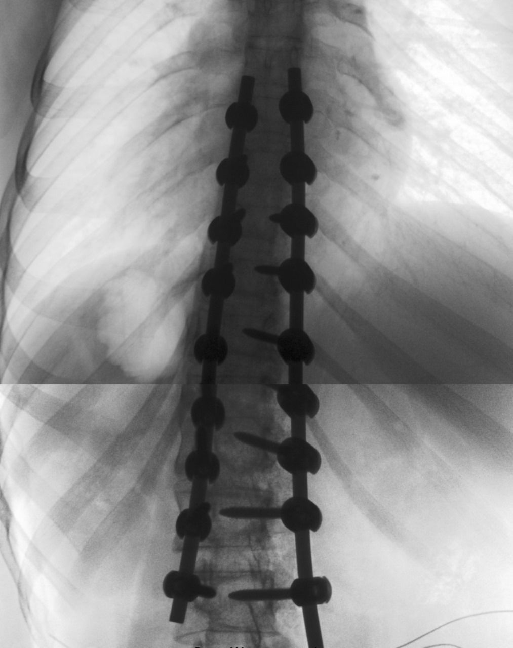 Cesar Alan Moreno Villegas-3