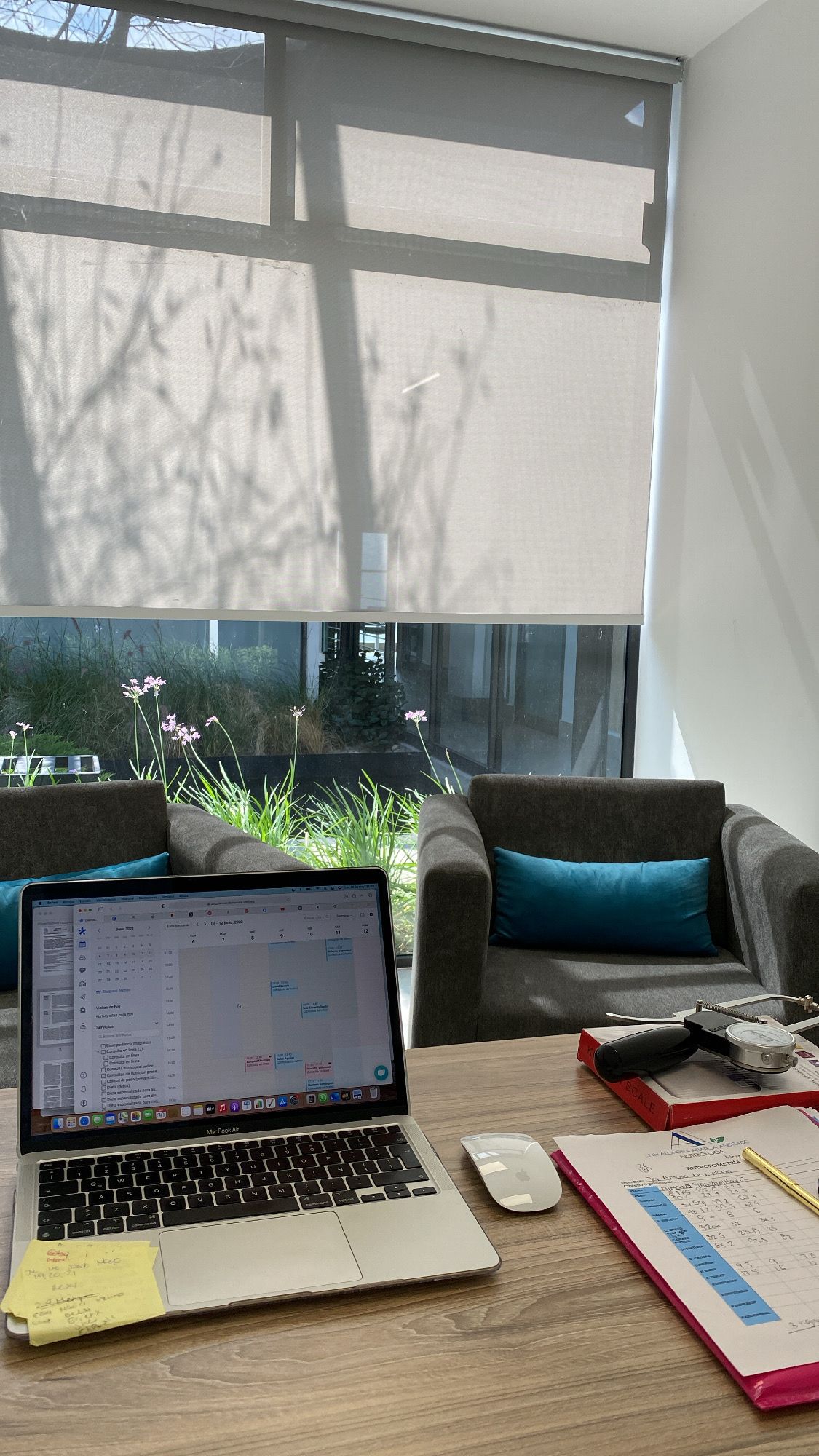 Alondra Abarca Andrade-2