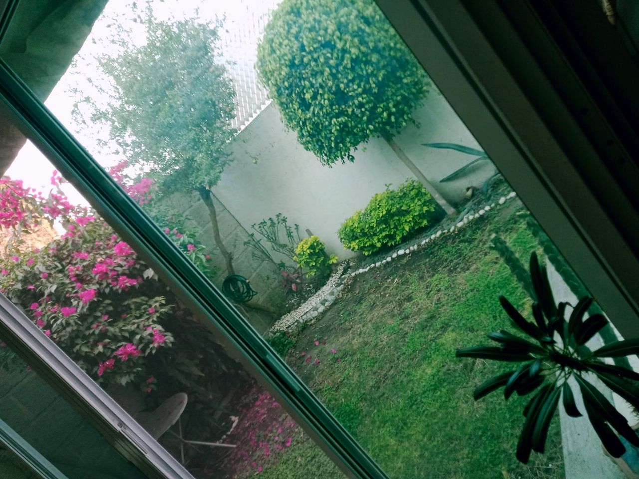 Rocío Daniel Ramírez-1