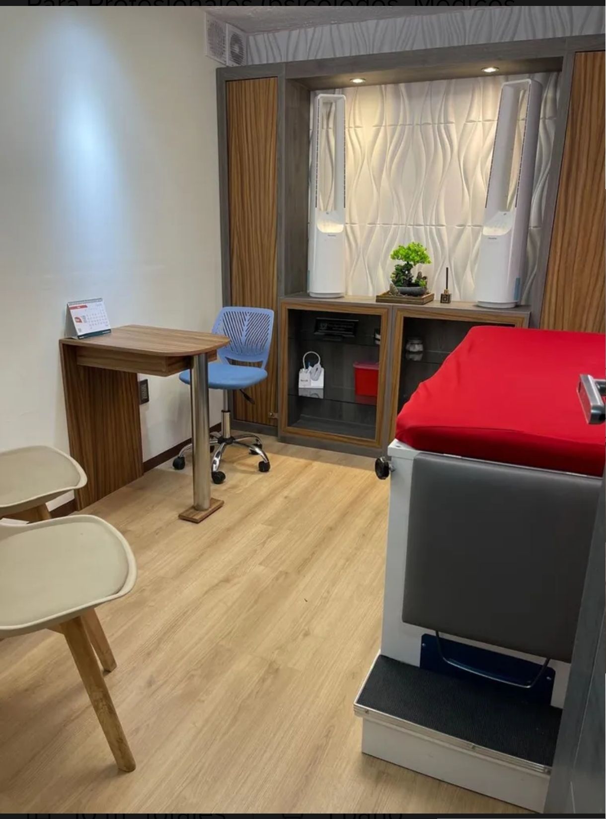 Mayela Carranza Bandera-1