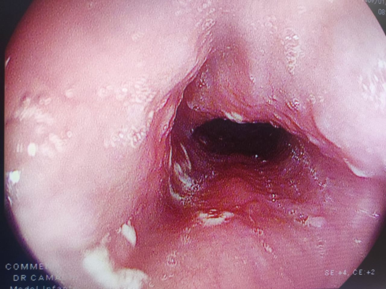 Diana Maritza Valladares Castoño-5