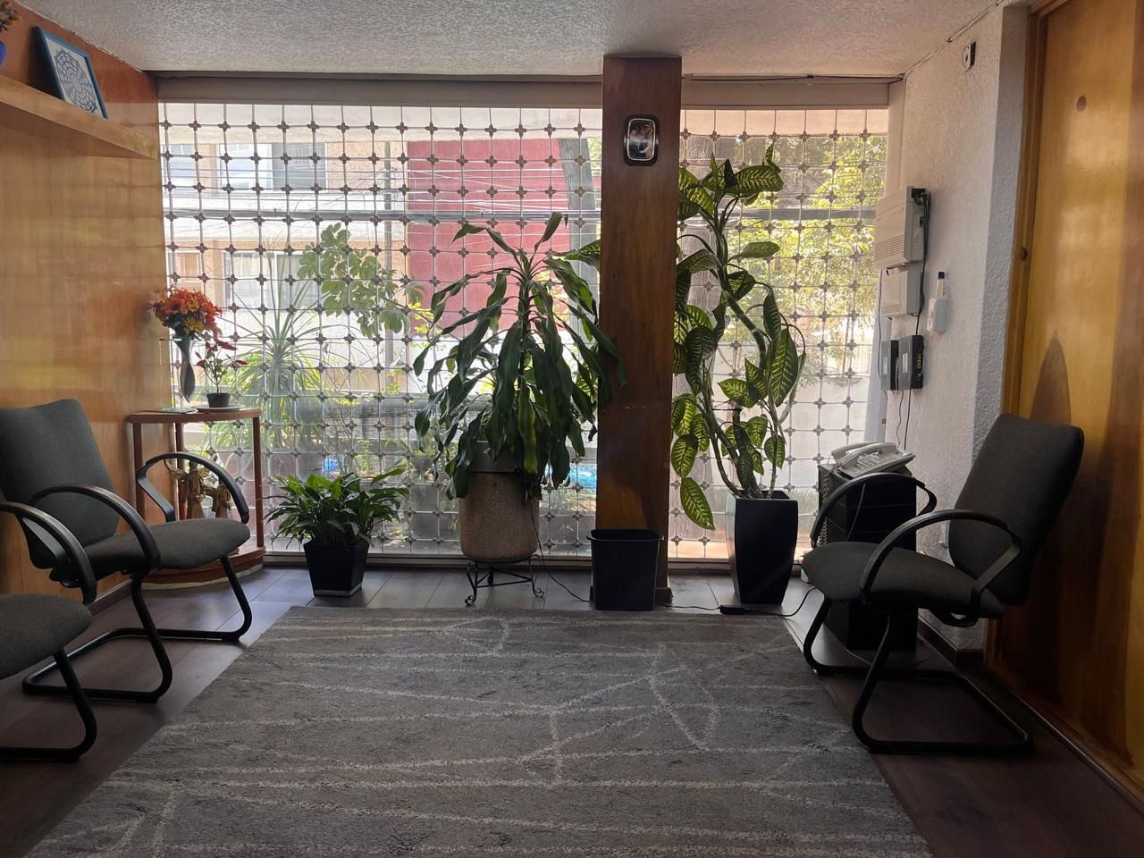 Guadalupe Bautista Perea-2