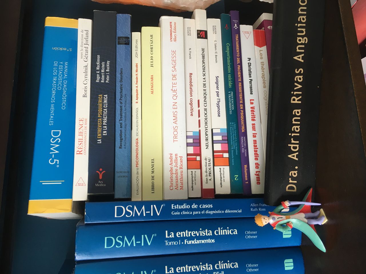 Adriana Rivas Anguiano-4