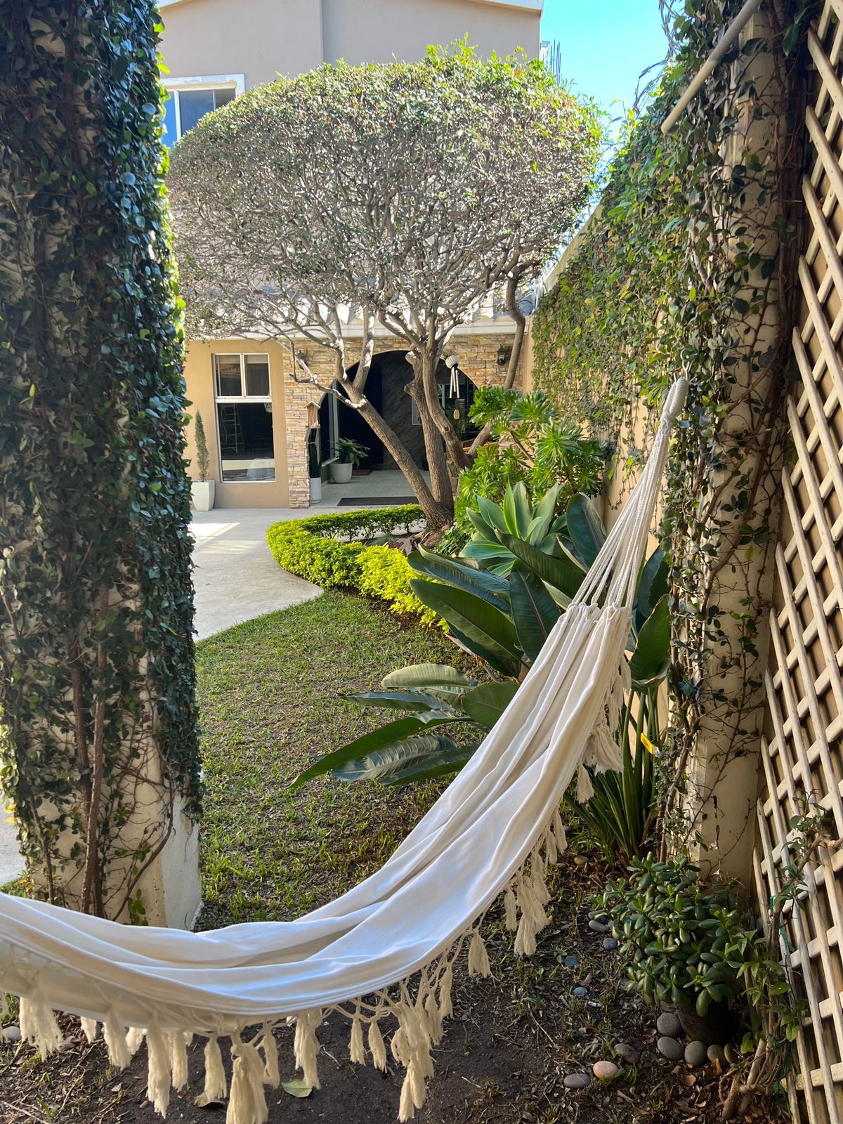 Andrea Libertad Alvarado-3