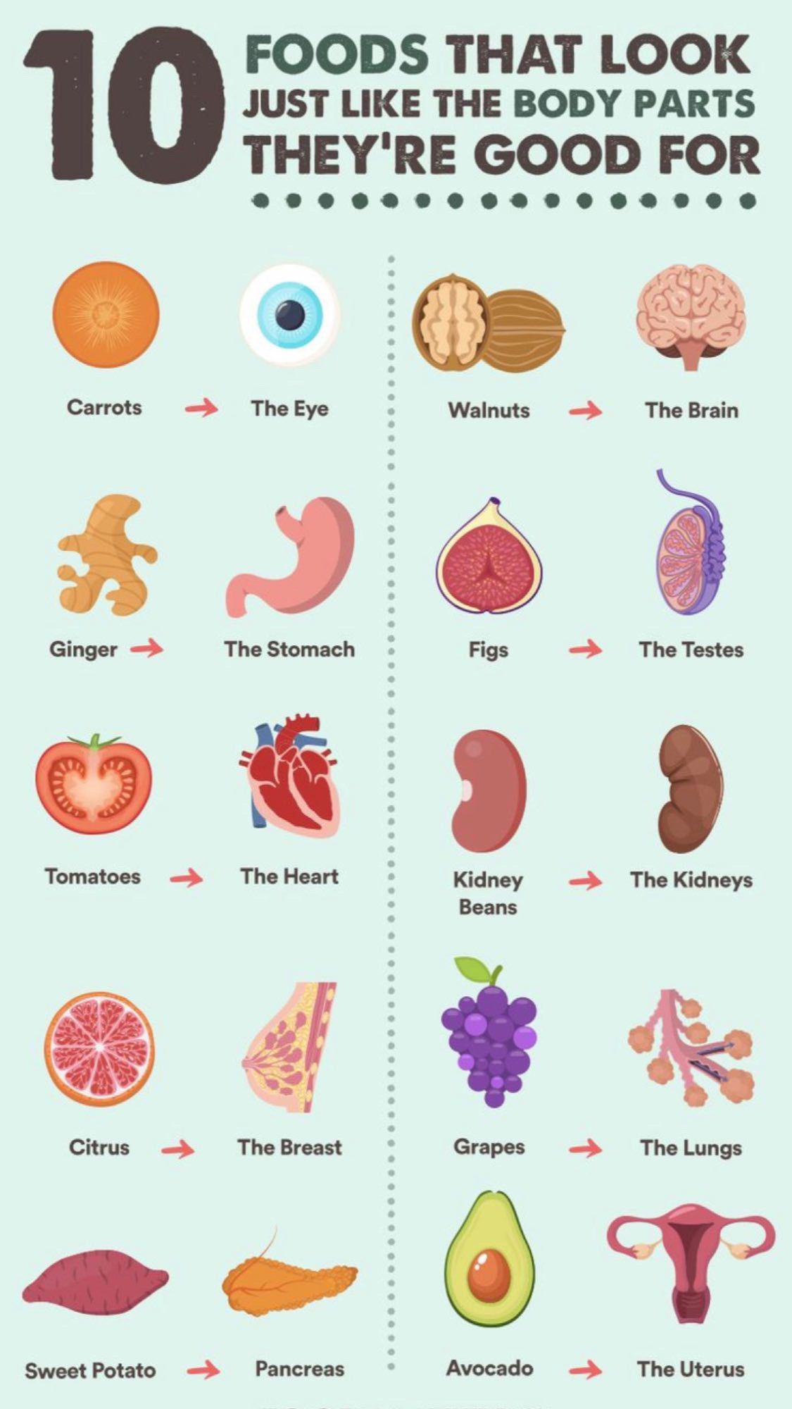 Nallely Del Carmen Núñez Ibáñez-10