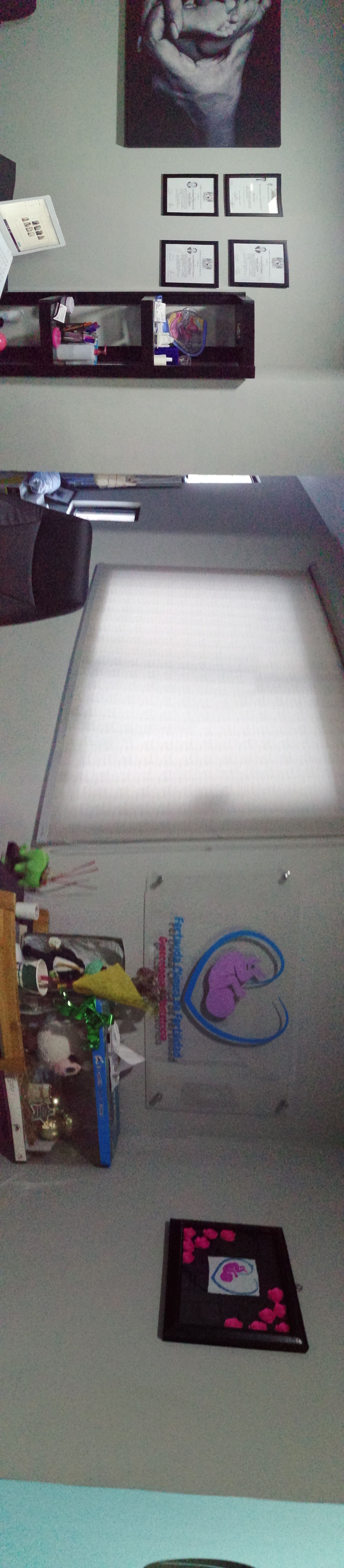 Laura Helena Carrillo Aguilar-4