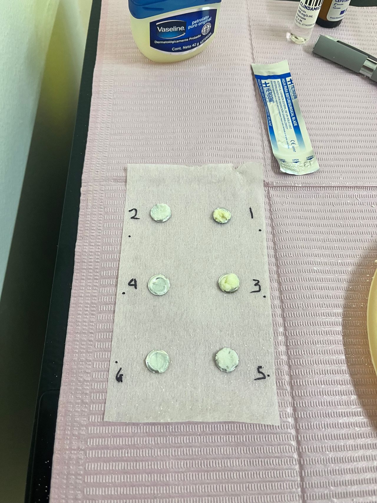 Zaira Escobedo Salcedo -6