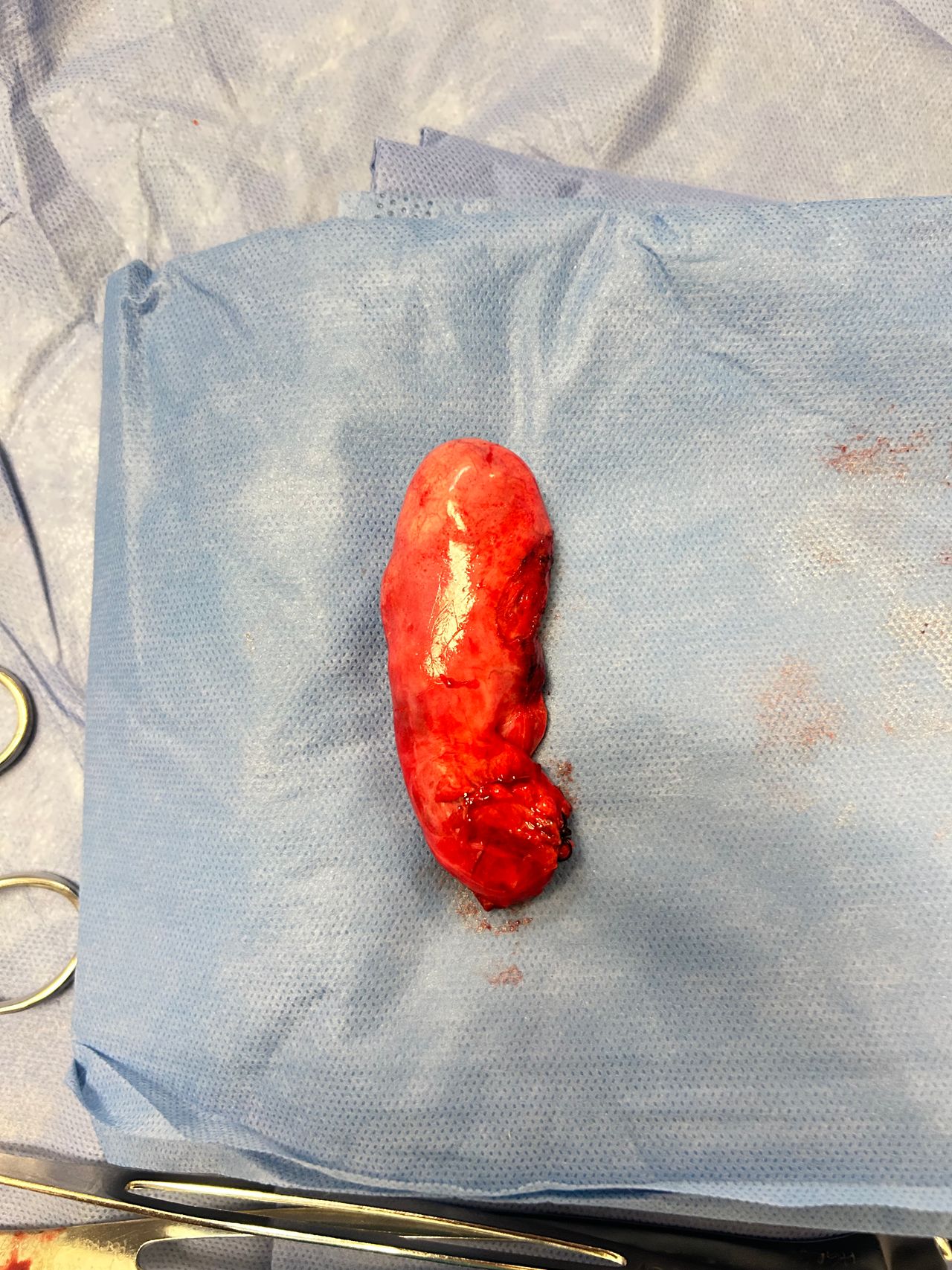 Jose Luis M. Urias Aguirre-5