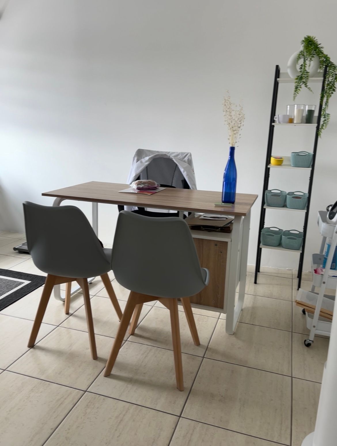 Elsa González Romero-2